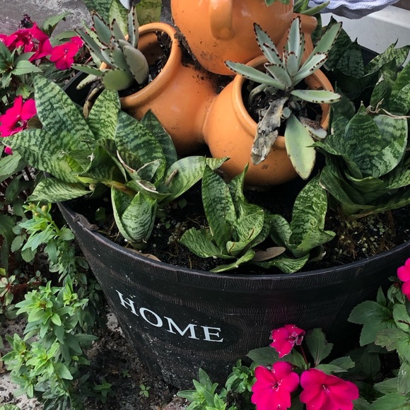 Meet your Posher, Antonio - Picture 1 of 3